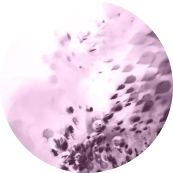 circle-clip